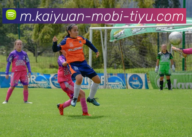 开元体育平台生态图