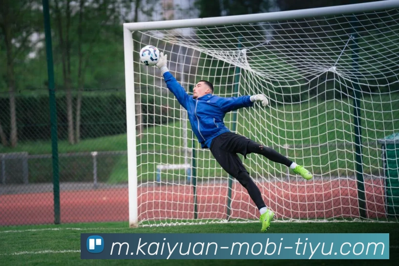 开元体育APP 封面图